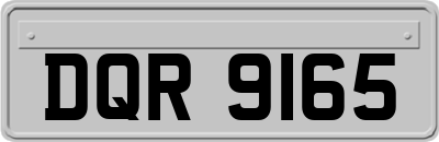 DQR9165