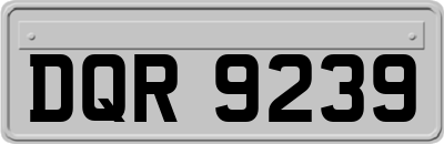 DQR9239