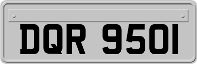 DQR9501