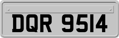 DQR9514