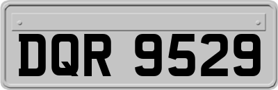 DQR9529