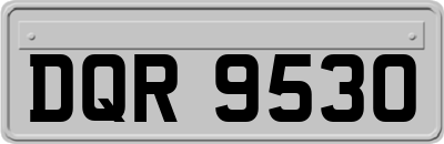 DQR9530