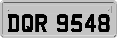 DQR9548