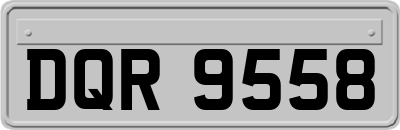 DQR9558