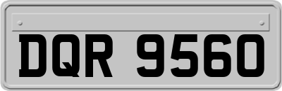 DQR9560