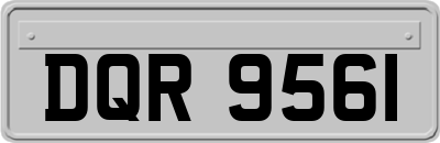 DQR9561