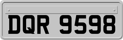 DQR9598