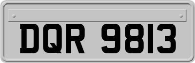 DQR9813