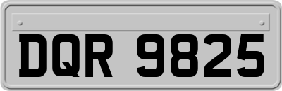 DQR9825