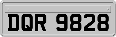 DQR9828