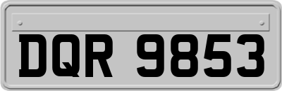 DQR9853