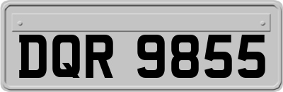 DQR9855
