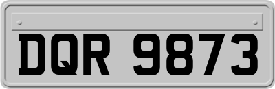 DQR9873