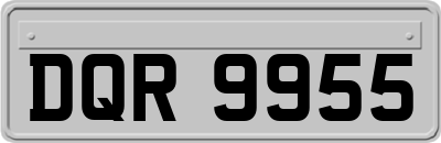 DQR9955