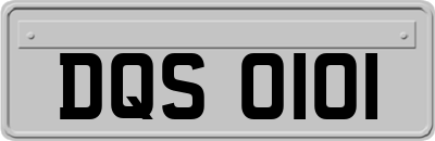 DQS0101