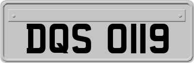 DQS0119