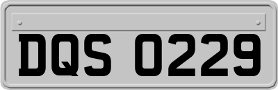 DQS0229
