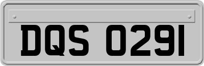 DQS0291
