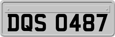 DQS0487
