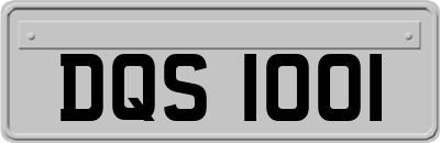 DQS1001