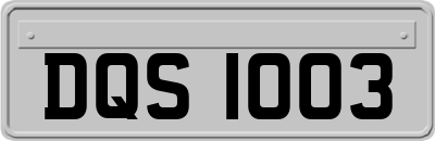 DQS1003