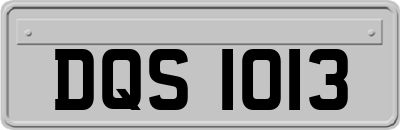 DQS1013