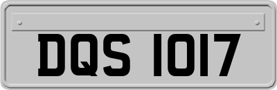 DQS1017