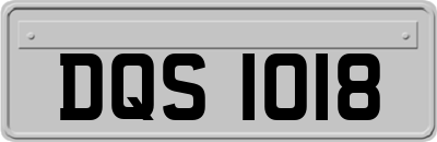 DQS1018