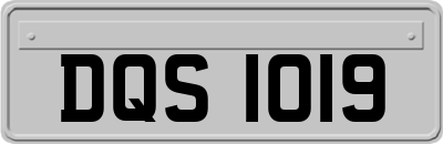 DQS1019