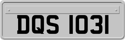 DQS1031