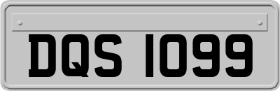 DQS1099