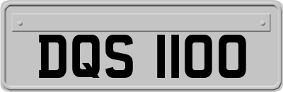 DQS1100