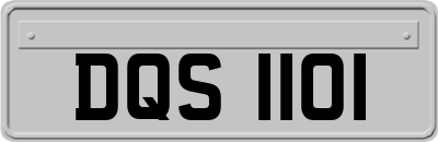 DQS1101