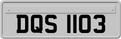 DQS1103