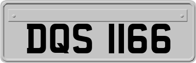 DQS1166
