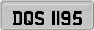 DQS1195