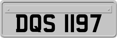DQS1197