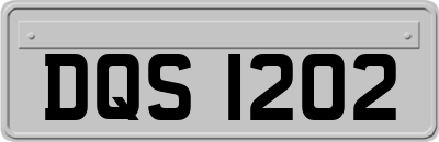 DQS1202