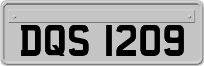 DQS1209