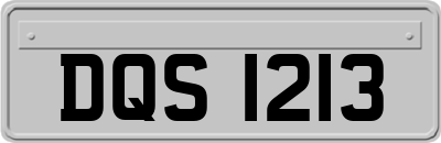 DQS1213