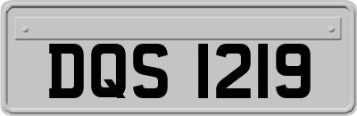 DQS1219