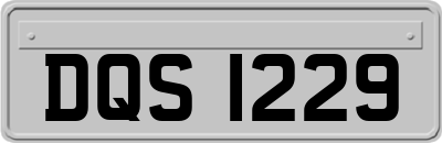 DQS1229