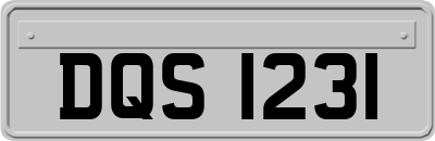 DQS1231