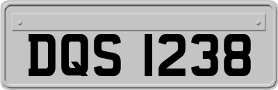 DQS1238