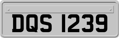 DQS1239