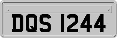 DQS1244