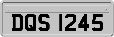 DQS1245