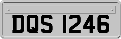 DQS1246