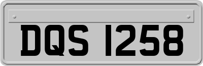 DQS1258
