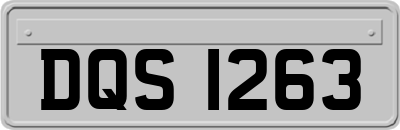 DQS1263